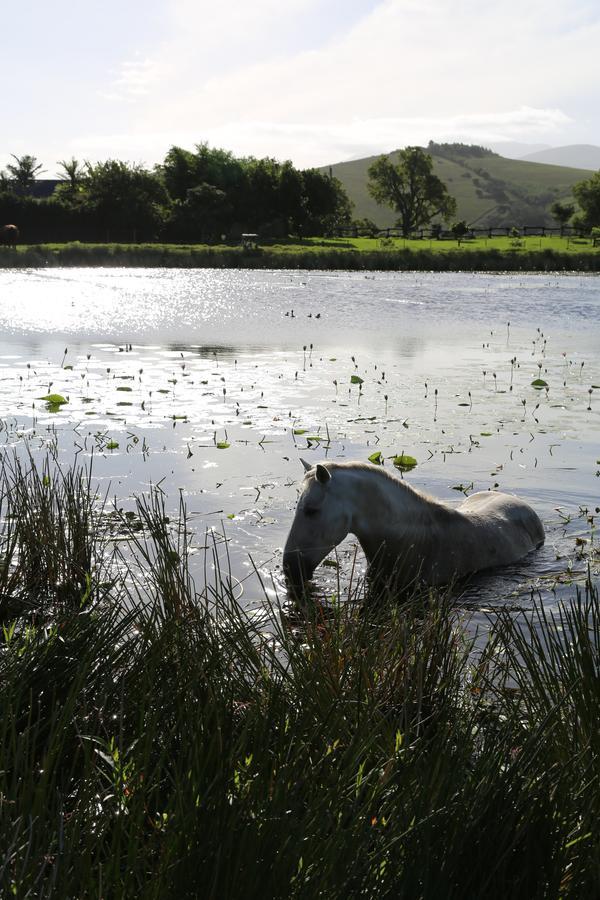 Hakuna Matata Game Farm Great Brak River Dış mekan fotoğraf