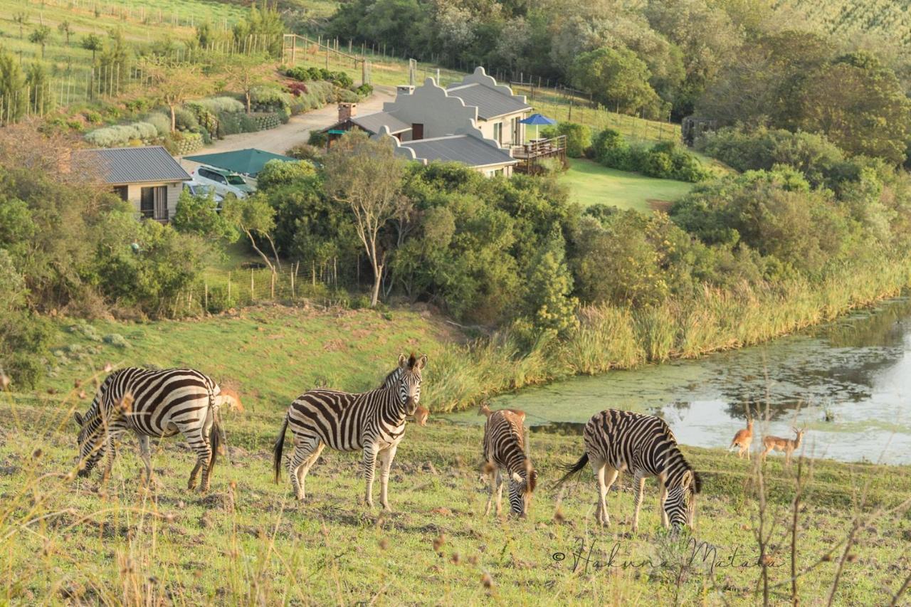 Hakuna Matata Game Farm Great Brak River Dış mekan fotoğraf